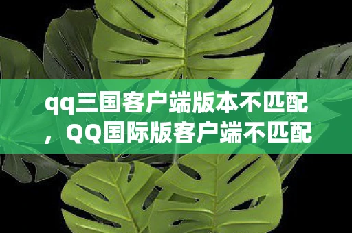qq三国客户端版本不匹配，QQ国际版客户端不匹配问题解析