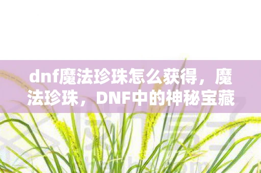 dnf魔法珍珠怎么获得，魔法珍珠，DNF中的神秘宝藏