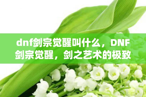 dnf剑宗觉醒叫什么，DNF剑宗觉醒，剑之艺术的极致演绎