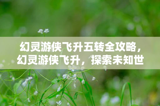 幻灵游侠飞升五转全攻略，幻灵游侠飞升，探索未知世界的奇幻之旅