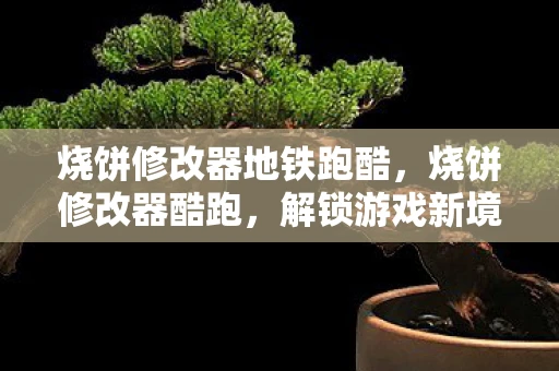 烧饼修改器地铁跑酷，烧饼修改器酷跑，解锁游戏新境界的利器