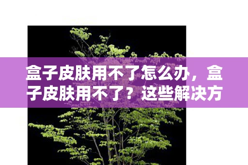 盒子皮肤用不了怎么办,盒子皮肤用不了?这些解决方案帮你快速解决! 盒子皮肤用不了怎么办,盒子皮肤用不了?这些解决方案帮你快速解决!