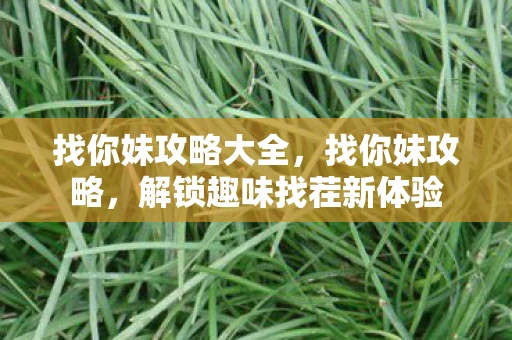 找你妹攻略大全，找你妹攻略，解锁趣味找茬新体验