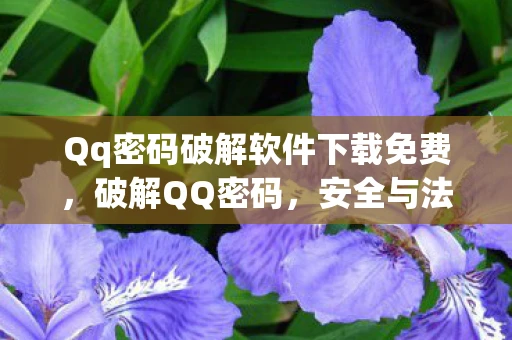 Qq密码破解软件下载免费，破解QQ密码，安全与法律边界的警示