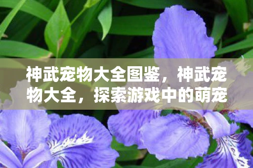 神武宠物大全图鉴，神武宠物大全，探索游戏中的萌宠世界