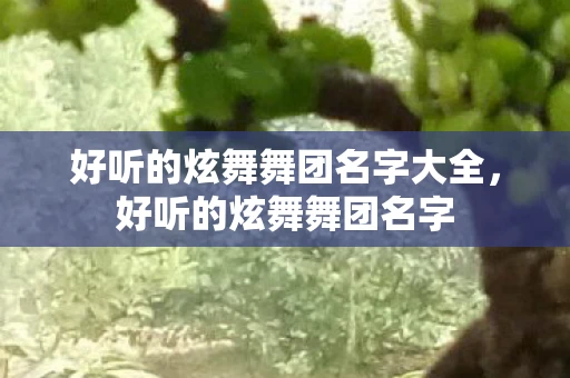 好听的炫舞舞团名字大全，好听的炫舞舞团名字