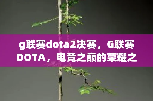 g联赛dota2决赛，G联赛DOTA，电竞之巅的荣耀之战