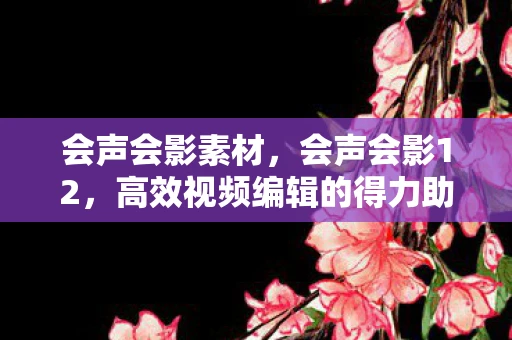 会声会影素材，会声会影12，高效视频编辑的得力助手