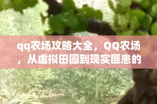 qq农场攻略大全，QQ农场，从虚拟田园到现实匪患的荒诞之旅
