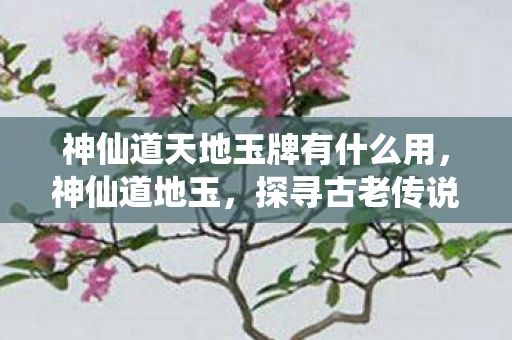 神仙道天地玉牌有什么用，神仙道地玉，探寻古老传说中的神秘瑰宝