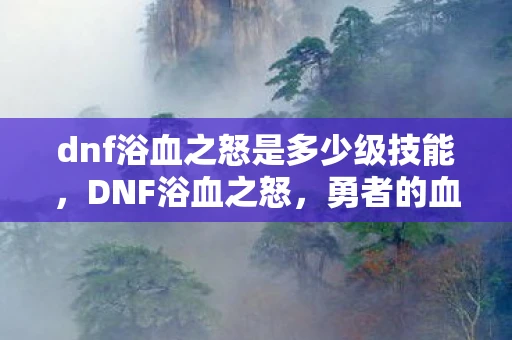 dnf浴血之怒是多少级技能，DNF浴血之怒，勇者的血与泪的史诗