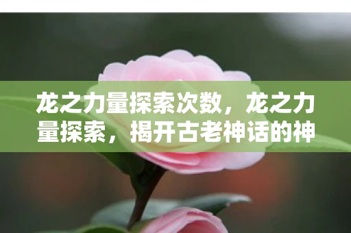 龙之力量探索次数，龙之力量探索，揭开古老神话的神秘面纱