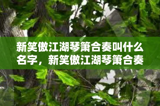 新笑傲江湖琴箫合奏叫什么名字，新笑傲江湖琴箫合奏，一曲江湖梦，千古情长