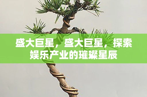 盛大巨星，盛大巨星，探索娱乐产业的璀璨星辰