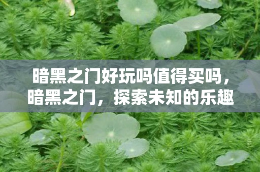 暗黑之门好玩吗值得买吗，暗黑之门，探索未知的乐趣与冒险