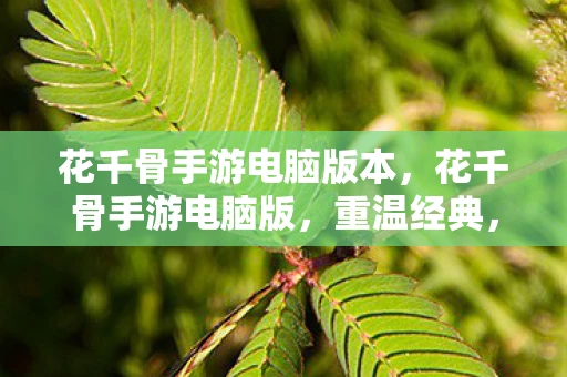 花千骨手游电脑版本，花千骨手游电脑版，重温经典，再续前缘