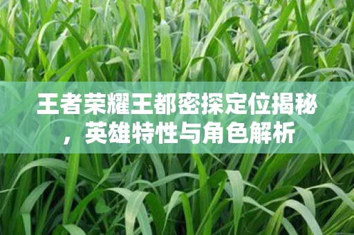 王者荣耀王都密探定位揭秘图片