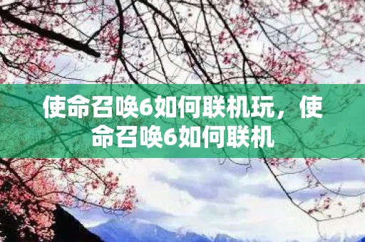 使命召唤6如何联机玩，使命召唤6如何联机