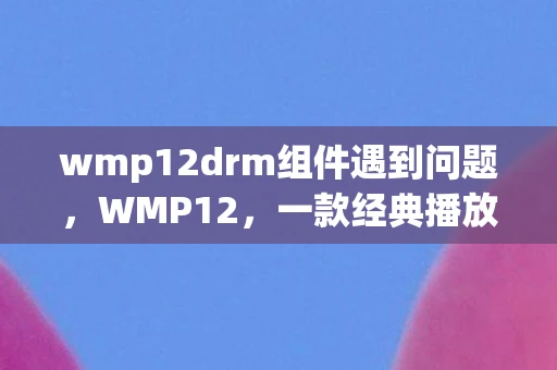 wmp12drm组件遇到问题，WMP12，一款经典播放器背后的故事