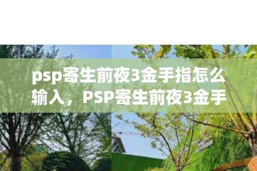 psp寄生前夜3金手指怎么输入，PSP寄生前夜3金手指代码使用指南