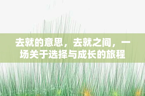 去就的意思，去就之间，一场关于选择与成长的旅程
