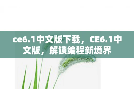 ce6.1中文版下载，CE6.1中文版，解锁编程新境界