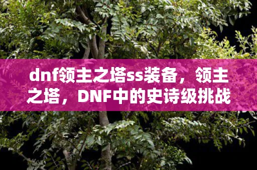 dnf领主之塔ss装备,领主之塔,DNF中的史诗级挑战 dnf领主之塔ss装备,领主之塔,DNF中的史诗级挑战
