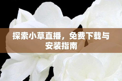 免费下载与安装指南图片
