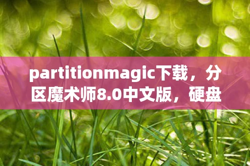 partitionmagic下载，分区魔术师8.0中文版，硬盘管理的得力助手