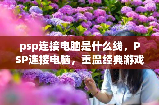 psp连接电脑是什么线，PSP连接电脑，重温经典游戏的新方式