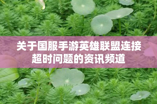 关于国服手游英雄联盟连接超时问题的资讯频道图片