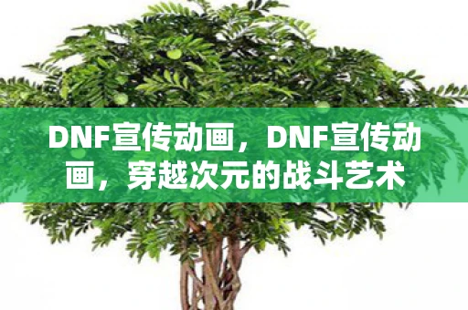 DNF宣传动画，DNF宣传动画，穿越次元的战斗艺术