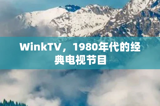 WinkTV，1980年代的经典电视节目