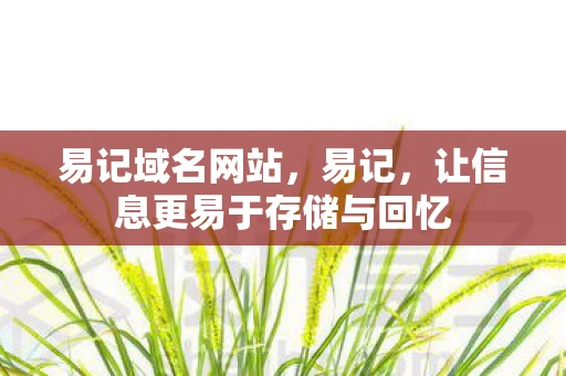 易记域名网站，易记，让信息更易于存储与回忆