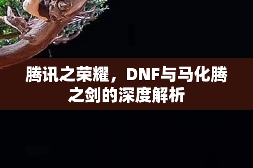 DNF与马化腾之剑的深度解析图片