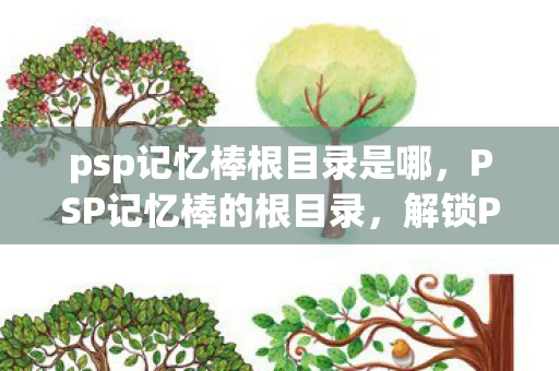 psp记忆棒根目录是哪，PSP记忆棒的根目录，解锁PSP存储的奥秘