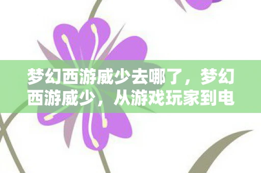 梦幻西游威少去哪了，梦幻西游威少，从游戏玩家到电竞传奇的蜕变