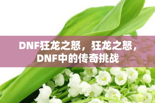 DNF狂龙之怒，狂龙之怒，DNF中的传奇挑战