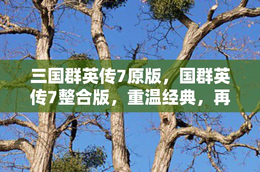 三国群英传7原版，国群英传7整合版，重温经典，再续传奇