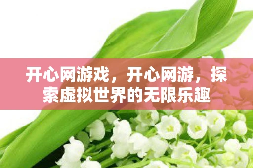 开心网游戏，开心网游，探索虚拟世界的无限乐趣