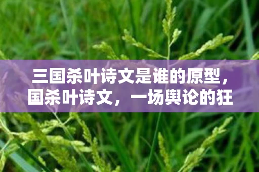 三国杀叶诗文是谁的原型，国杀叶诗文，一场舆论的狂欢与反思