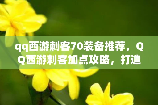 qq西游刺客70装备推荐，QQ西游刺客加点攻略，打造高效战斗力的秘密