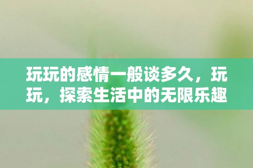 玩玩的感情一般谈多久，玩玩，探索生活中的无限乐趣