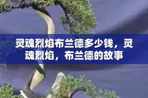 灵魂烈焰布兰德多少钱，灵魂烈焰，布兰德的故事