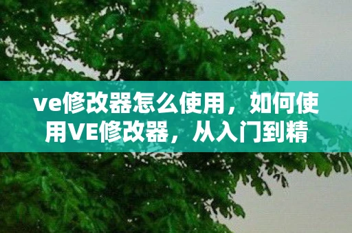 ve修改器怎么使用，如何使用VE修改器，从入门到精通的详细指南