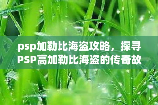 psp加勒比海盗攻略，探寻PSP高加勒比海盗的传奇故事
