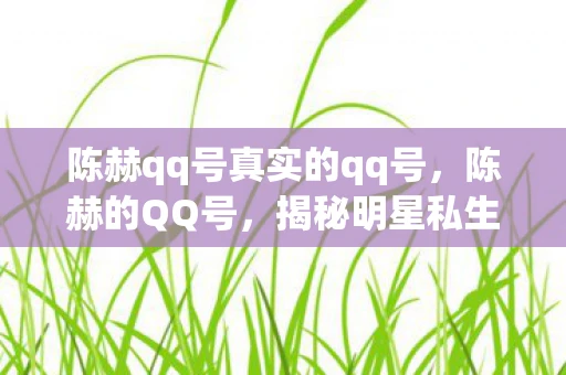 陈赫qq号真实的qq号，陈赫的QQ号，揭秘明星私生活的边界