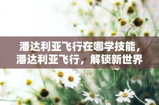 潘达利亚飞行在哪学技能，潘达利亚飞行，解锁新世界的钥匙