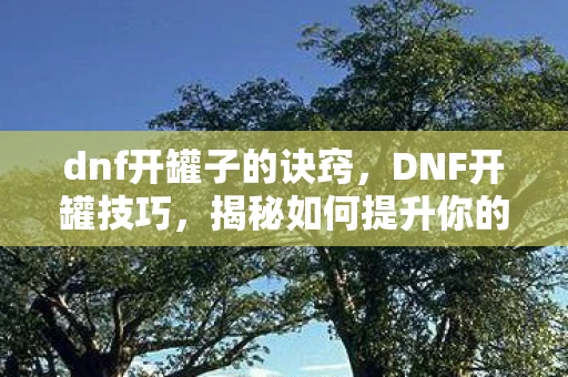 dnf开罐子的诀窍,DNF开罐技巧,揭秘如何提升你的开罐成功率 dnf开罐子的诀窍,DNF开罐技巧,揭秘如何提升你的开罐成功率