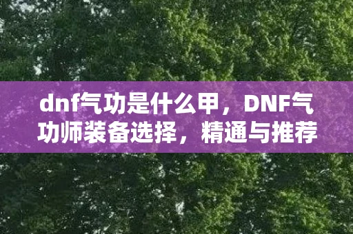 dnf气功是什么甲，DNF气功师装备选择，精通与推荐